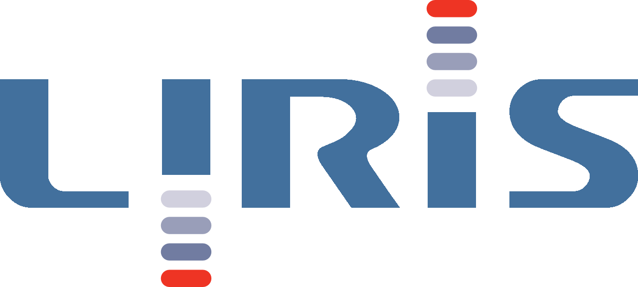 LIRIS (UMR 5205) Logo